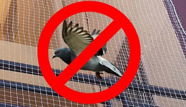 Anti Bird Nets